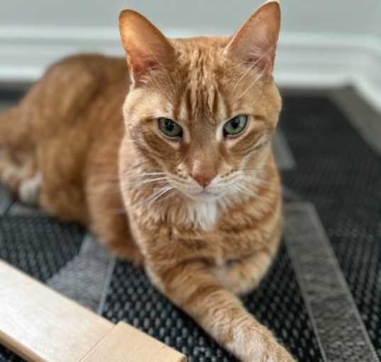 Photo of Catt Damon