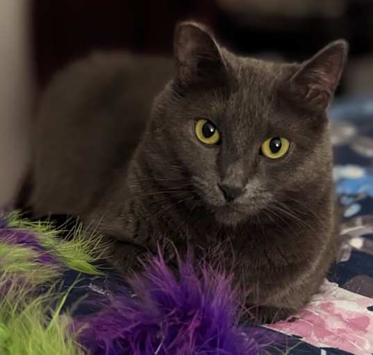 Photo of Alice