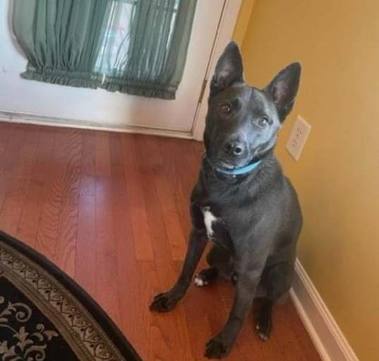 Photo of Winston