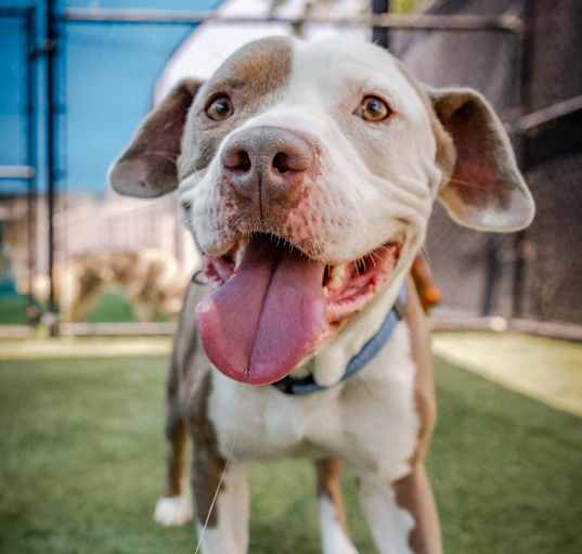 Photo of Kale A2119010