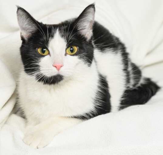 Photo of Maeve