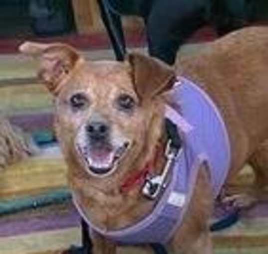 Photo of Gabby