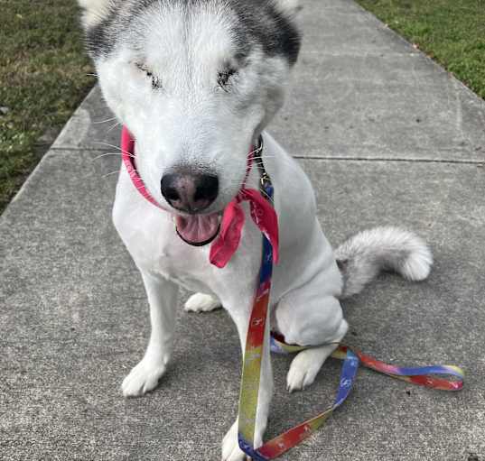 Photo of Arya