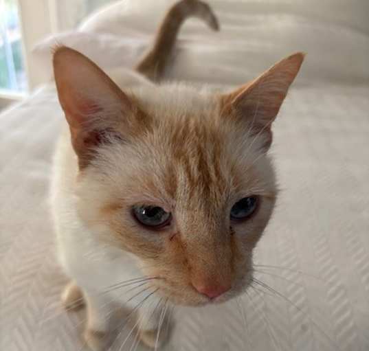 Photo of Max
