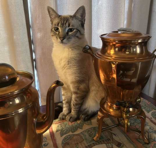 Photo of Rupi
