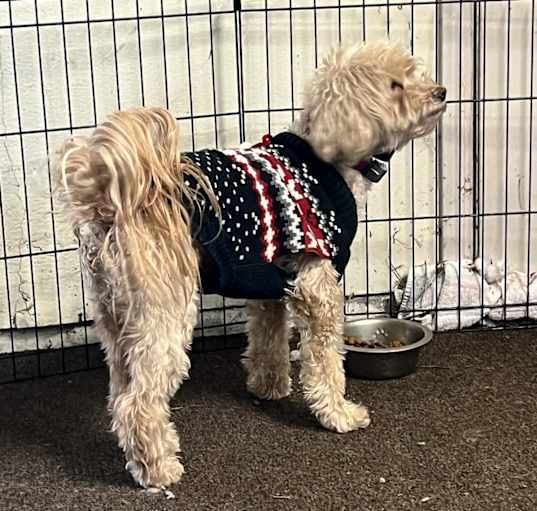 Photo of Quincy