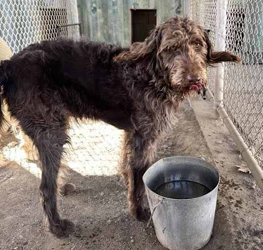 Photo of Hershey