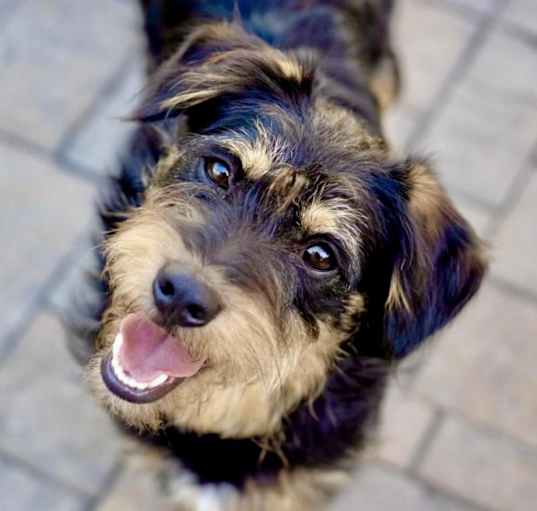 Photo of ORVILLE
