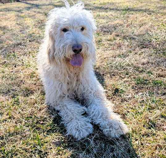 Photo of Marcy