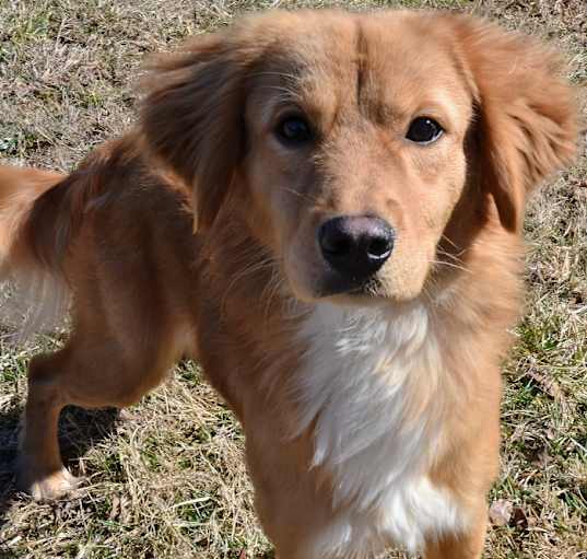 Photo of Bingo