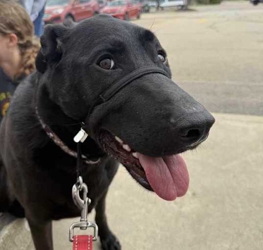 Photo of Oakley