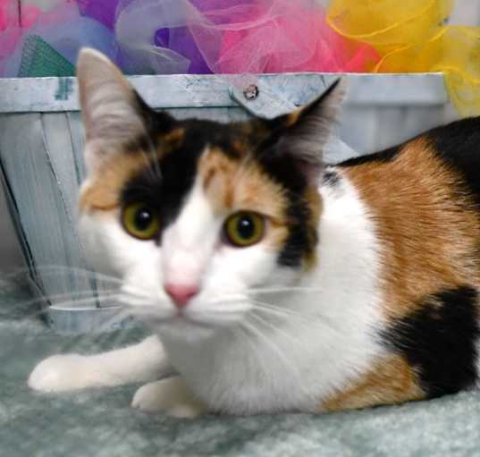 Photo of Lola