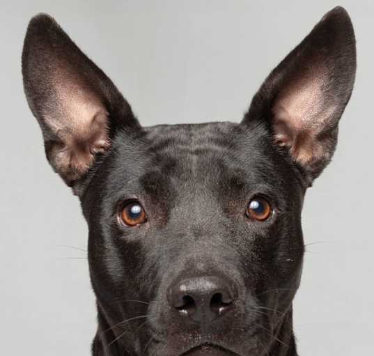 Photo of Terra