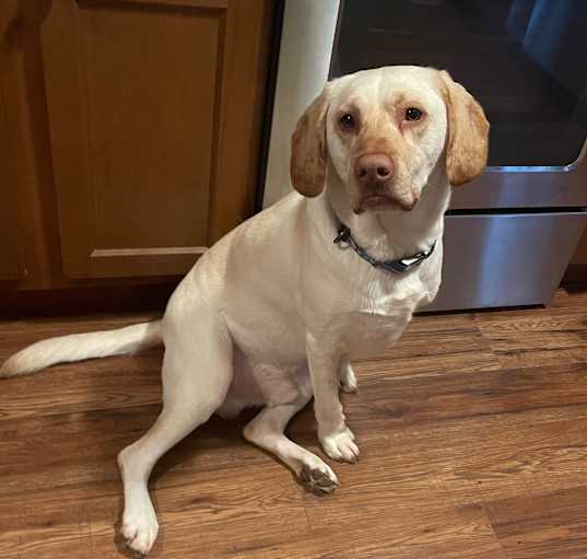 Photo of Duke