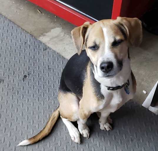 Photo of Oliver