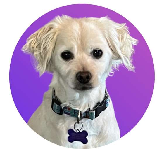 Photo of Eddy