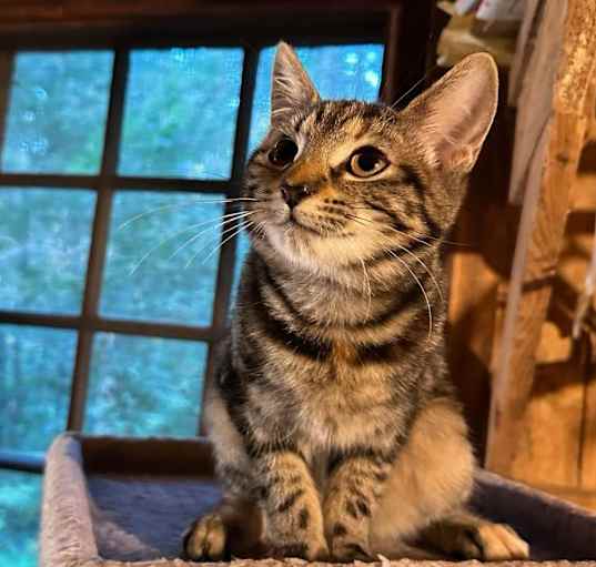 Photo of Persephone
