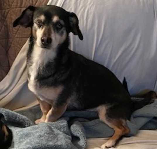 Photo of Samantha