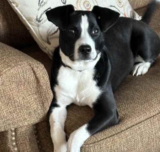 Photo of Tudy
