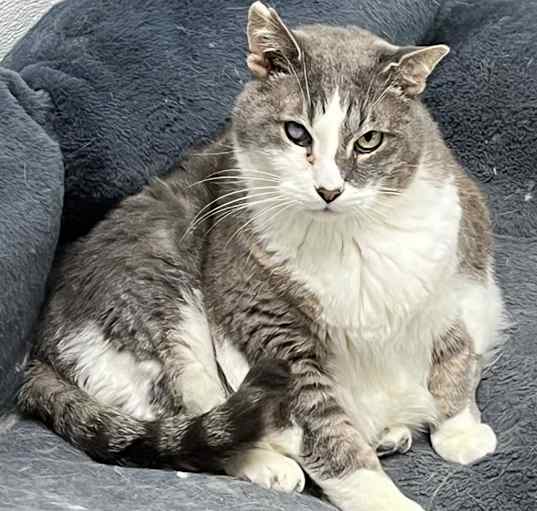 Photo of Gatsby
