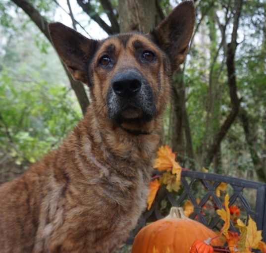 Photo of Beatrix