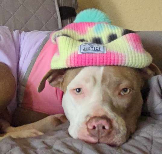 Photo of Daisy Duke