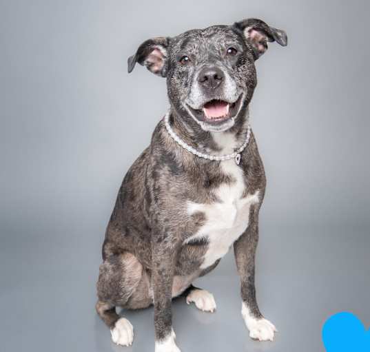 Photo of Diamond