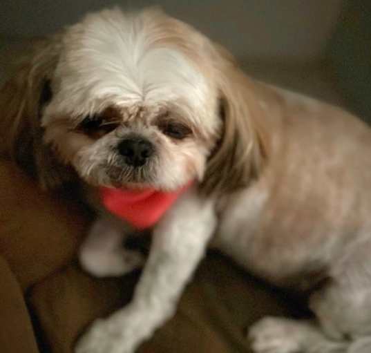 Photo of Princess