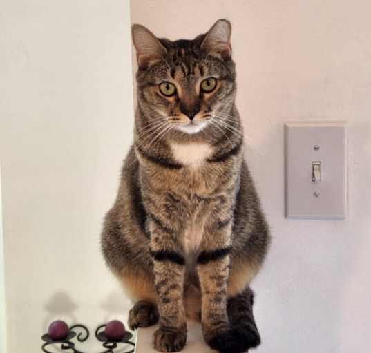 Photo of Maxine
