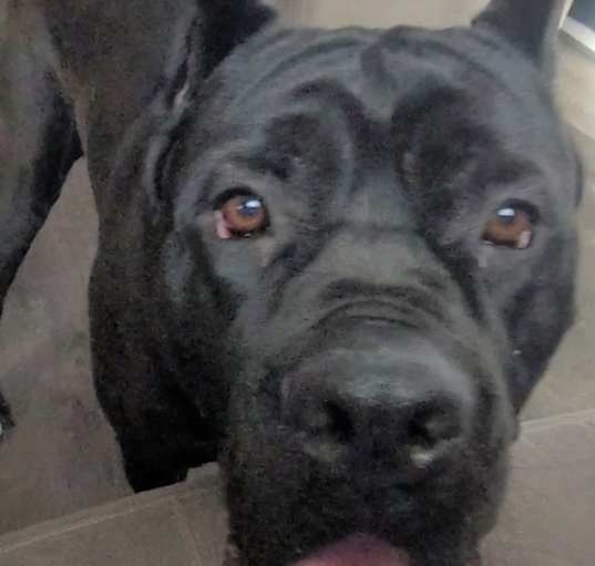 Photo of Ghost