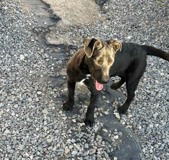 Photo of Sweet Girl