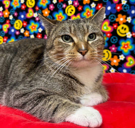 Photo of Darling