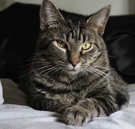 Photo of Kyro