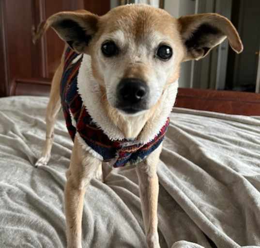 Photo of Dedee