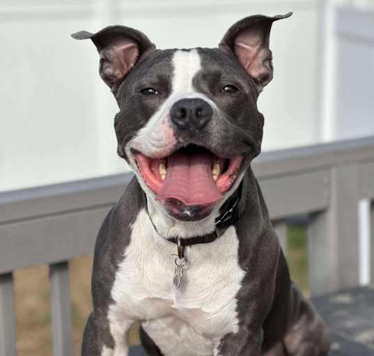 Photo of Zero