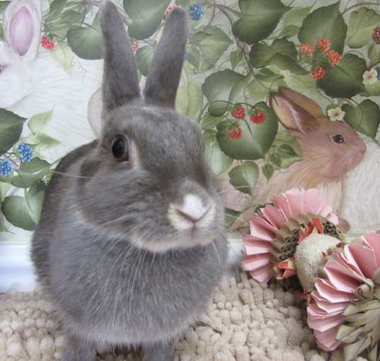 Photo of Chloe