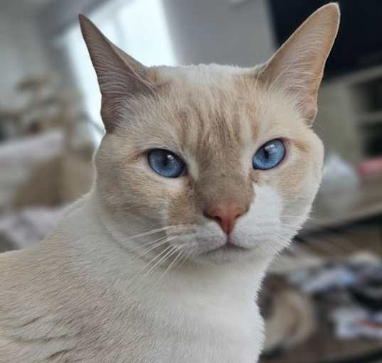 Photo of Nube