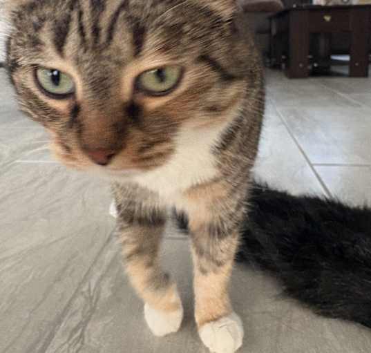 Photo of Aloha