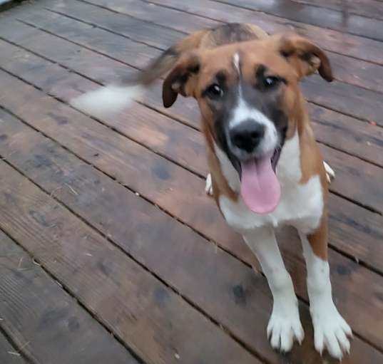 Photo of DOC