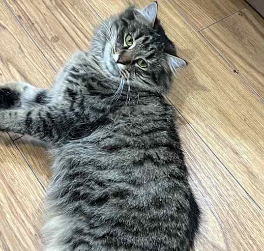 Photo of Mia
