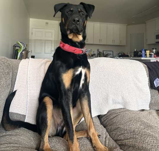 Photo of Hades