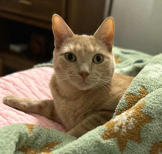 Photo of Mauby