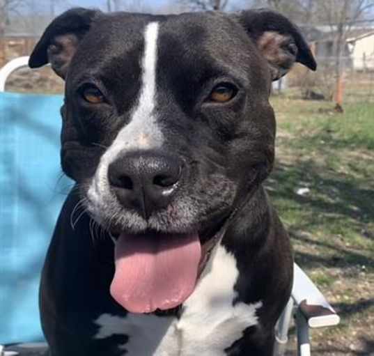 Photo of ROXY