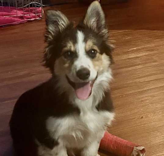 Photo of Calamity Jane