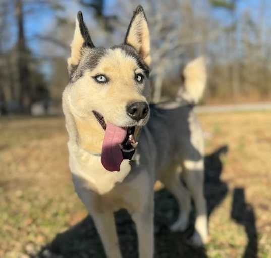 Photo of Sasha Mama