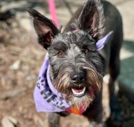 Photo of Mabel