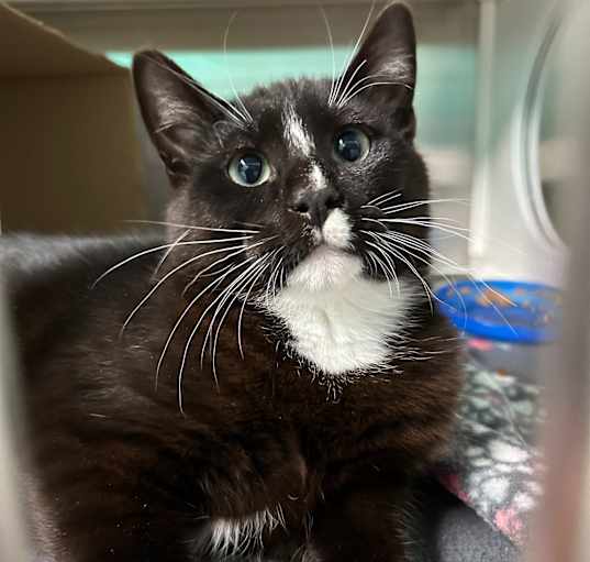 Photo of Slinky