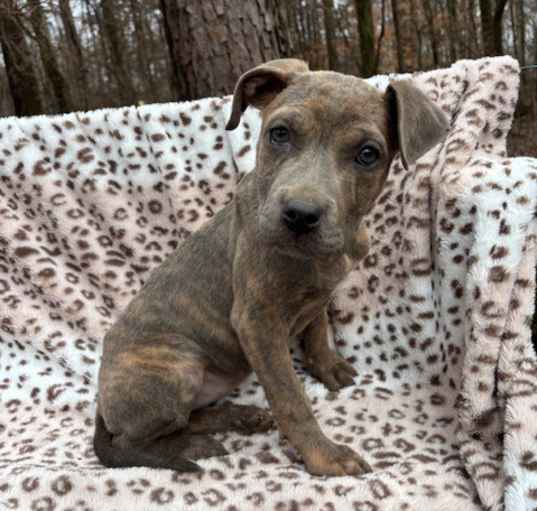 Photo of Ted ~ meet me!