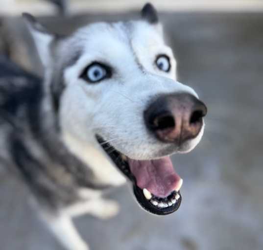 Photo of Judie