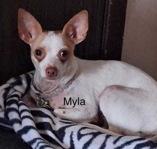 Photo of Myla